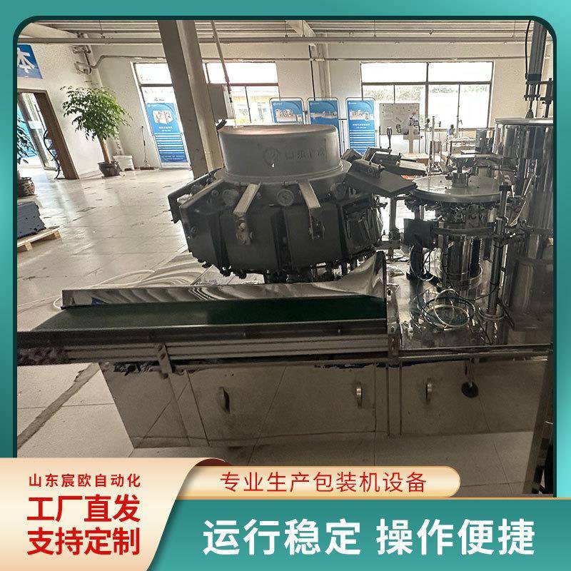 蒜蓉烤肠全自动给袋式真空包装机腊肠封口机机械手定制