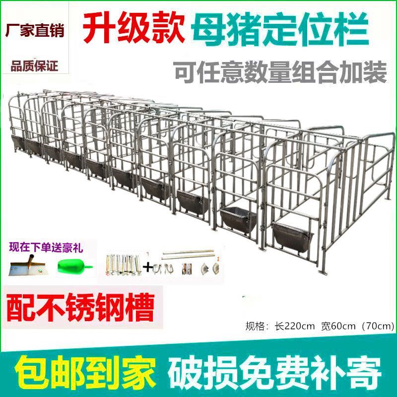 落地式母猪定位栏限位栏猪用栏位养猪设备加厚母猪栏位猪圈