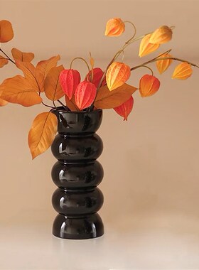 复古红黑色陶瓷瓶颜值中古风法式水培插器家居装饰