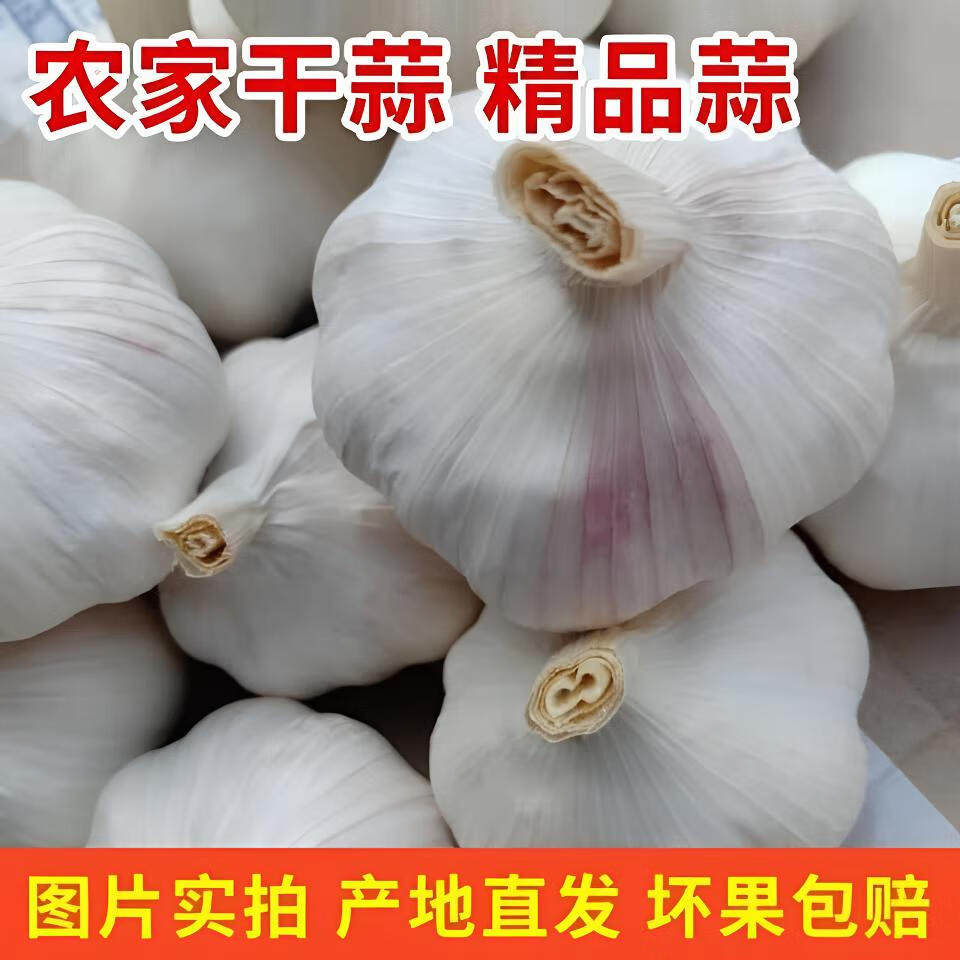 新干蒜大蒜头产地直发香蒜多瓣蒜紫白蒜子精选新十足干货