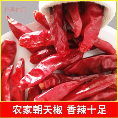 特辣干辣椒巨辣整个小红椒