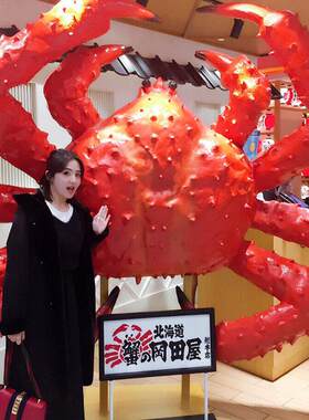 仿真帝王蟹雕塑龙虾螃蟹模型海洋动物火锅餐厅海鲜店装饰品大摆件