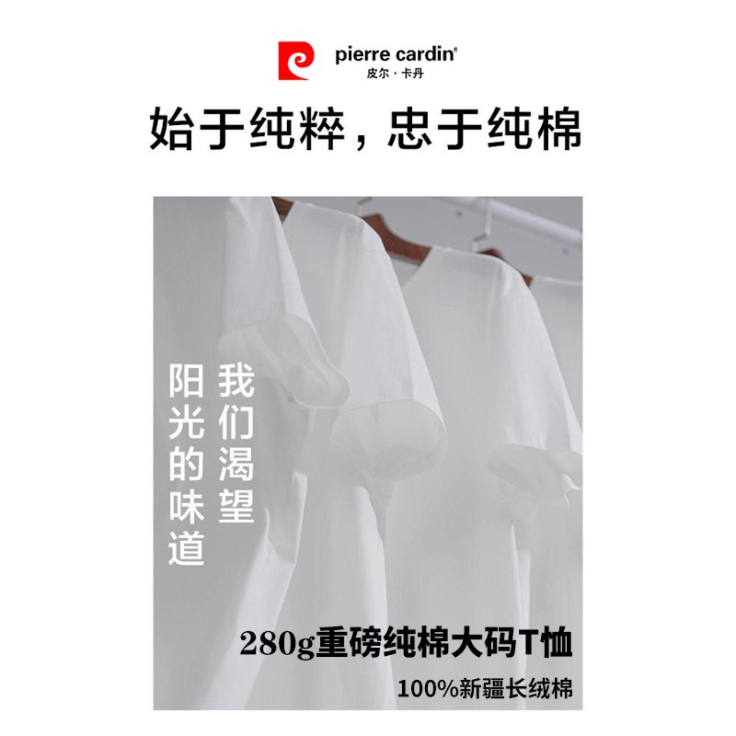 皮尔卡丹男士纯棉大码短袖T恤