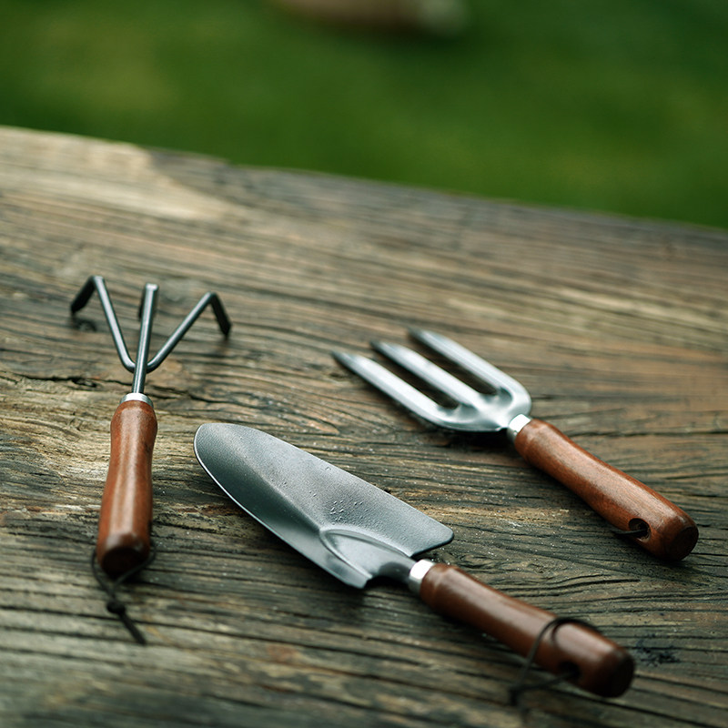 家用小铲子种花工具套装不锈钢赶海养花种菜花铲园艺铁锹儿童挖土,鲜花速递/花卉仿真/绿植园艺,铲子,淘宝优惠券,粉丝福利购,淘宝优惠卷