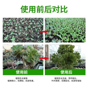 花卉氨基酸果菜花肥花盆种花叶绿素僵苗种菜营养液喷施水养用用养