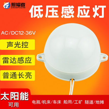 低压红外人体感灯12v24伏36伏太阳能蓄电池雷达楼道LED直流声控灯