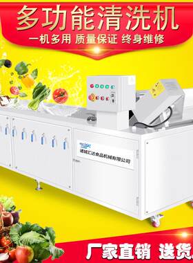 厂家应供钙果清机 果汁饮料WTF水果清洗设备用 商山梅子洗清洗机