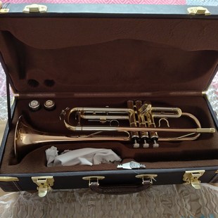 通用萨克斯小号单簧管乐器箱包/便携式随行手提乐器箱包小号箱子