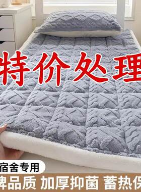塔芙绒特厚床垫褥子软垫家用床毯垫被防滑宿舍学生上下铺毛毯铺底