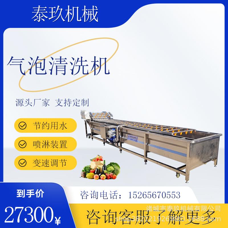 辣椒气泡清洗机桃子洗果机山野菜气泡喷淋洗菜机樱桃清洗设备