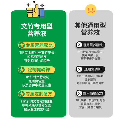 文竹营养液专用肥花肥料盆栽植物治叶子发黄室内养花水培土培通用