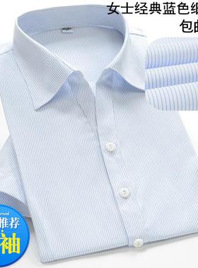 短袖衬衫女士白底浅紫色细条纹修身OL女装大码职业工装衬衣工作服