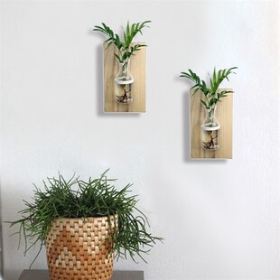 创意做旧实木板组合水培植物玻璃花瓶 家居背景墙玄关装饰挂件