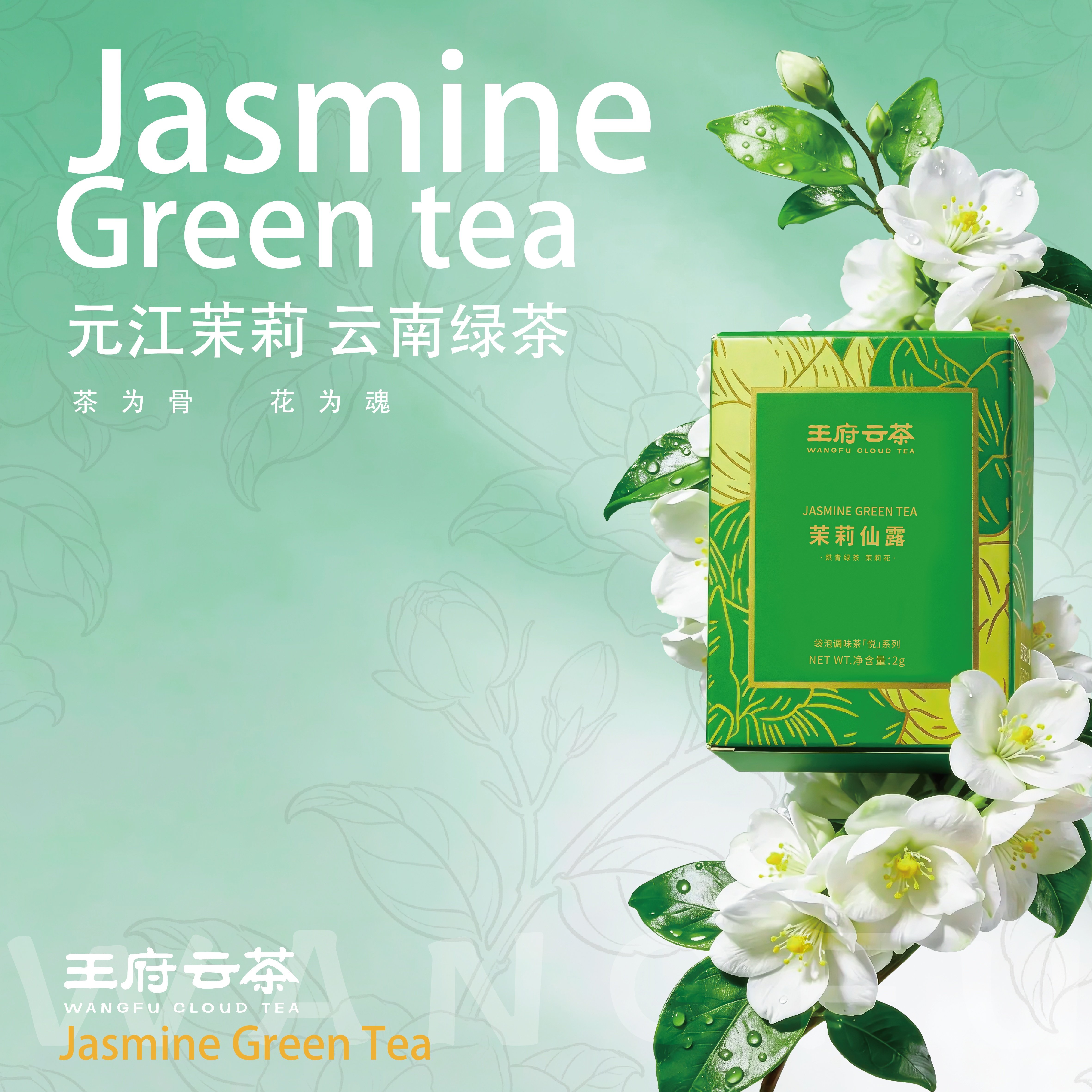茉莉绿茶包冷热双泡便携装冷泡茶