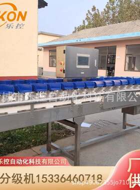 乳鸽大鹅重量分选机可定制不锈钢大料盒鸭子西装鸡称重分拣机