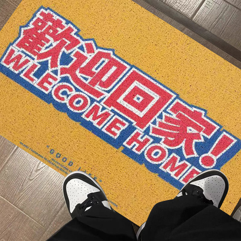 卡通丝圈地垫入户进门网红门垫子创意客厅门口防滑脚垫家用地毯
