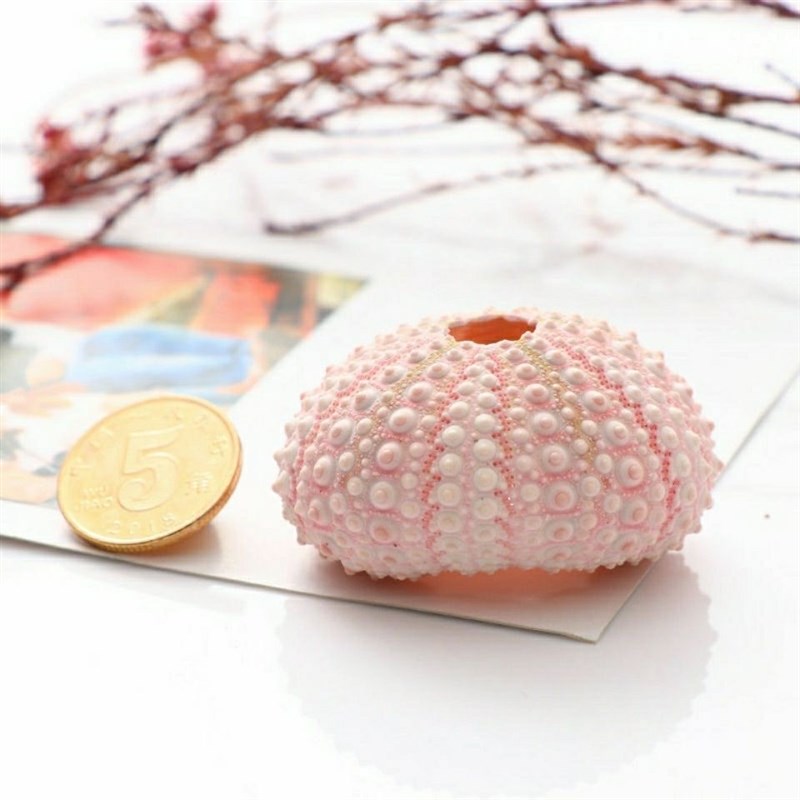 寄居蟹装饰爬宠海胆海星造景装饰可食用补钙营养可爱造型粉色绿色