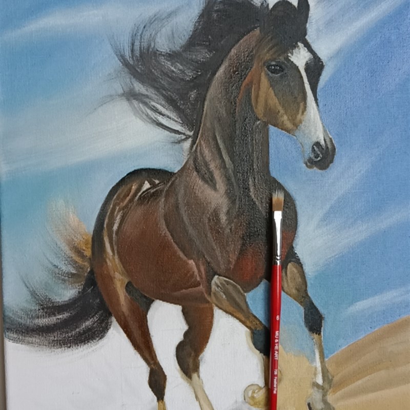 羽毛状双层纤维毛扇形平形发丝刷 画动物毛发水粉水彩油画画笔726