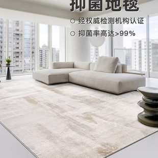 抑菌地毯客厅轻奢高级环保抽象简约沙发茶几垫家用卧室 缔奢美意式
