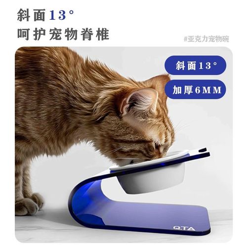 QTA宠物亚克力碗架宠物碗猫碗中小型狗碗陶瓷碗斜面保护颈椎食盆