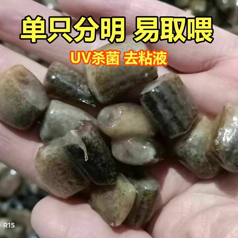 冷冻泥鳅段鱼饲料喂鱼龙鱼虎鱼新鲜食物淡水小河虾虾仁虾段麦穗鱼