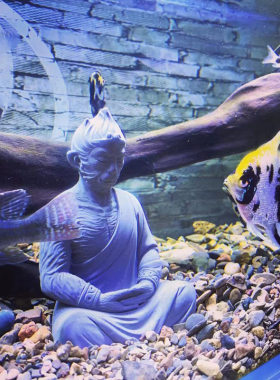 鱼缸造景装饰水泥佛像佛头中式水族仿石像孙悟空装饰人物沉水摆件
