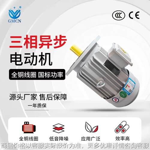 2极三相异步电动机YE3-100L-2电机 B3/B5/B35 380V 3W低压马达