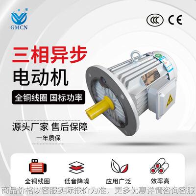 8极三相异步电动机 3-200-8国标马达 15380食品机械用电机