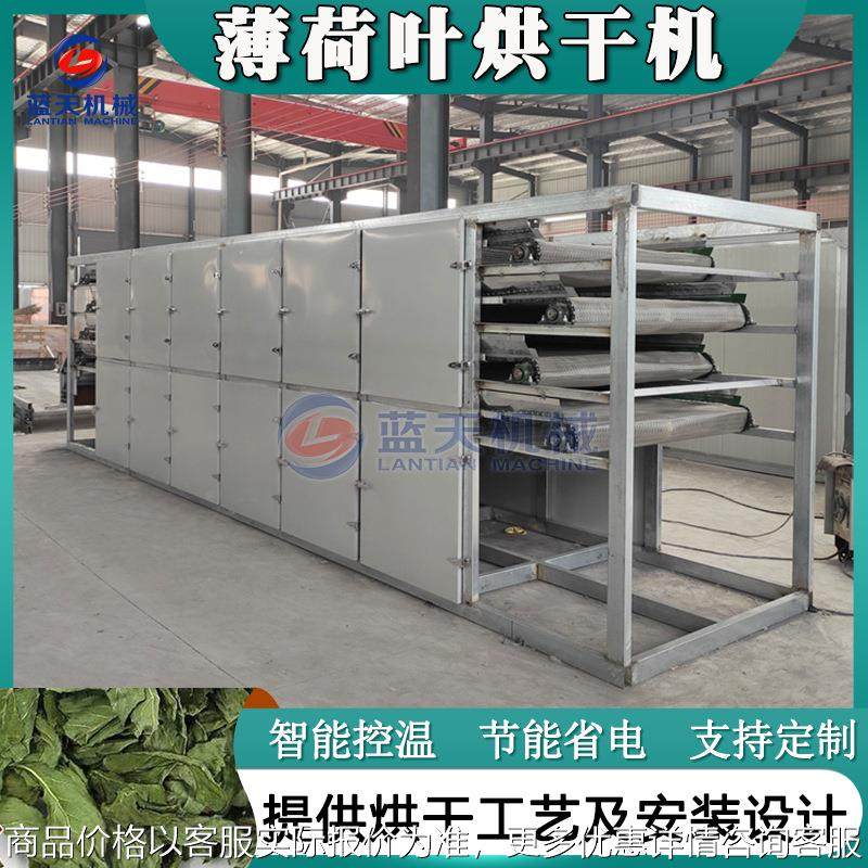 网带式薄荷叶烘干机 全自动野薄荷银丹草干燥机 薄荷叶茶烘干设备,机械设备,干燥机/干燥箱/烘干机,淘宝优惠券,粉丝福利购,淘宝优惠卷