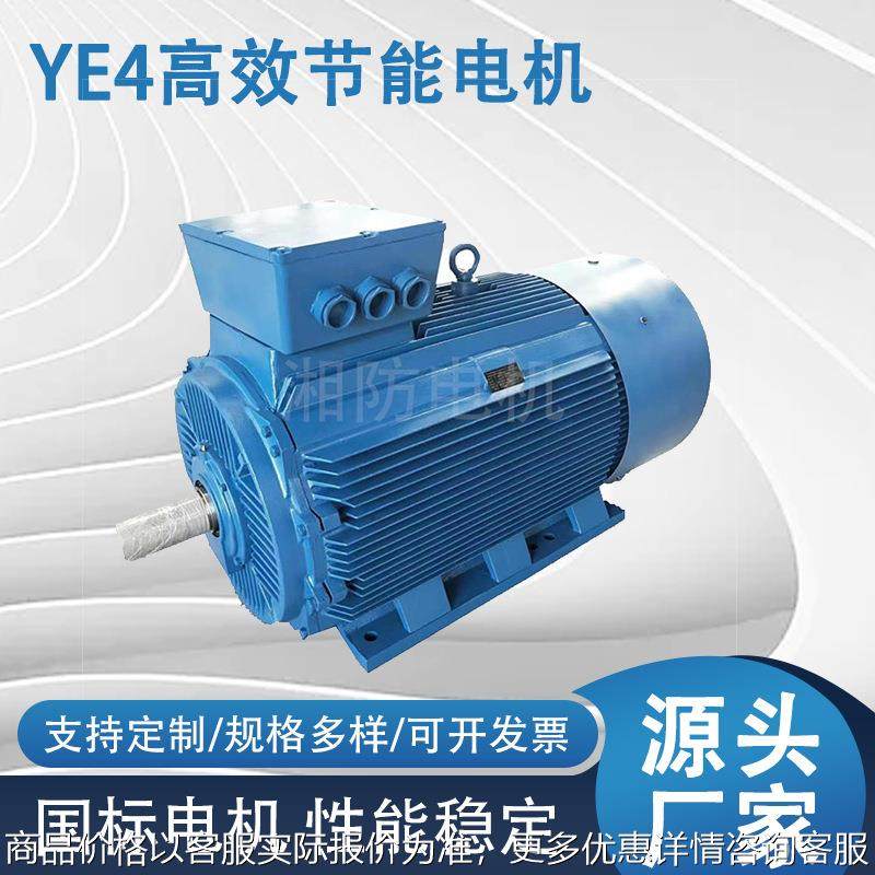 厂家YE4高效节能电机三相异步交流电动机380V全铜芯卧式电机,五金/工具,电动机,淘宝优惠券,粉丝福利购,淘宝优惠卷
