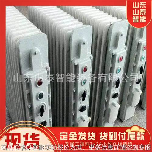 BDR-2000/11工业用防爆油汀 厂家现货 11片防爆油汀 防爆油汀