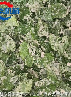 香酥翠叶油炸机 全自动炸桑叶机器 桑叶上浆油炸成套设备厂家