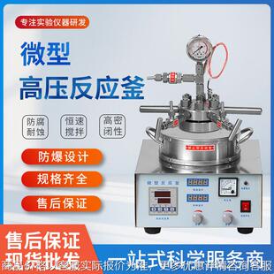 50ml100ml200ml磁力耦合机械搅拌高压反应釜微型磁力高压反应釜