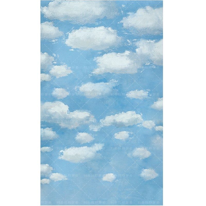 商拍手绘蓝天白云拍照摄影背景布莫奈手绘天空摄影背景纸影楼背景