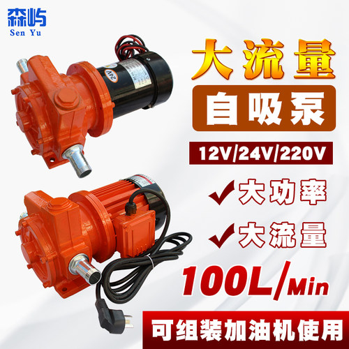 大自吸抽油泵加油油泵泵全自动计量泵摇控泵