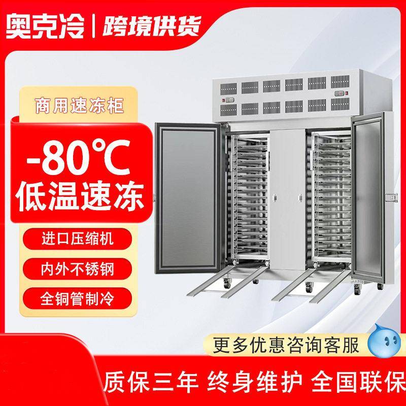 烘焙冰箱商用烤盘插盘式冷冻柜风冷冷冻柜水饺包子冷藏柜速冻急冻