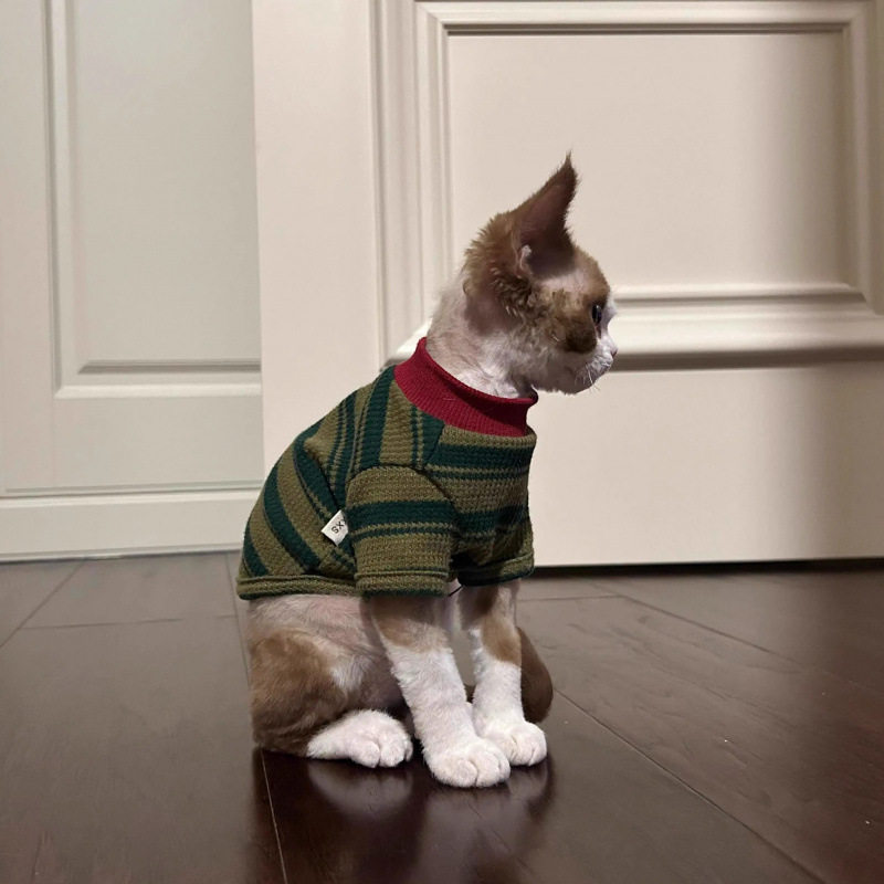 猫咪衣服春夏季新款条纹两脚衣可爱无毛猫蓝猫布偶猫幼猫背心