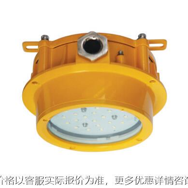 BPC8762 LED防爆平台灯15W/10W/5W锅炉弯杆平台灯 吸顶电缆地沟灯