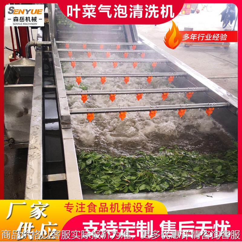 工厂用果蔬气泡清洗机设备艾草气泡清洗机茶叶鼓泡翻浪清洗机