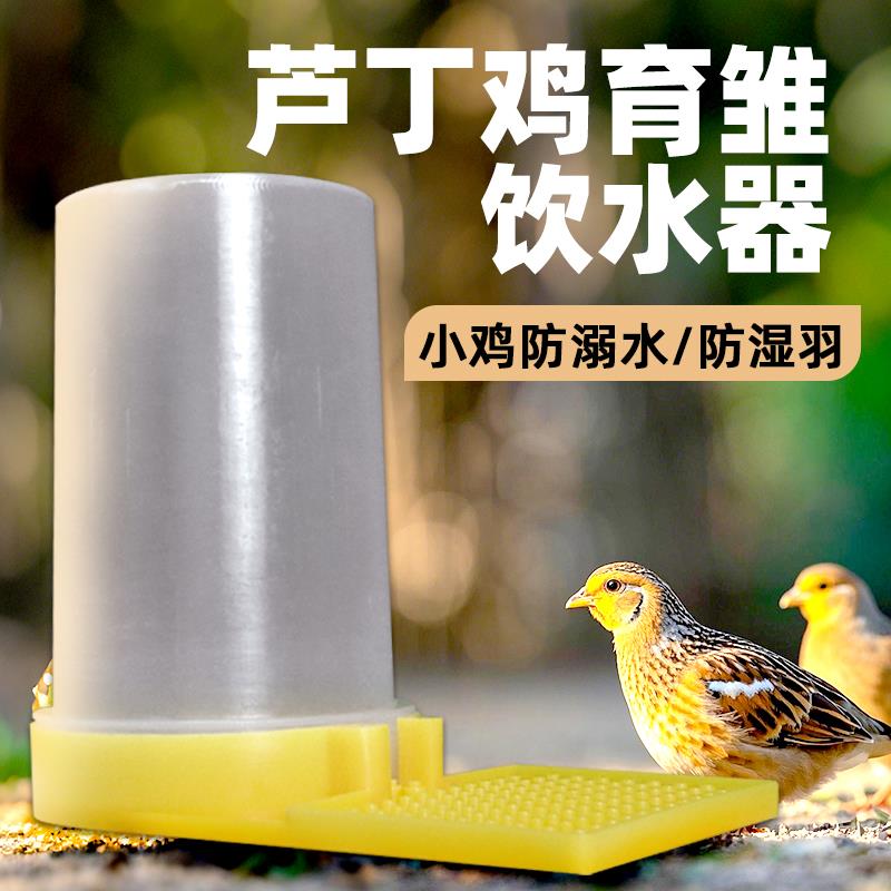 芦丁鸡饮水器喂食器饲喂水器壶鹌鹑雏自动喝水神器小幼鸡育雏专用
