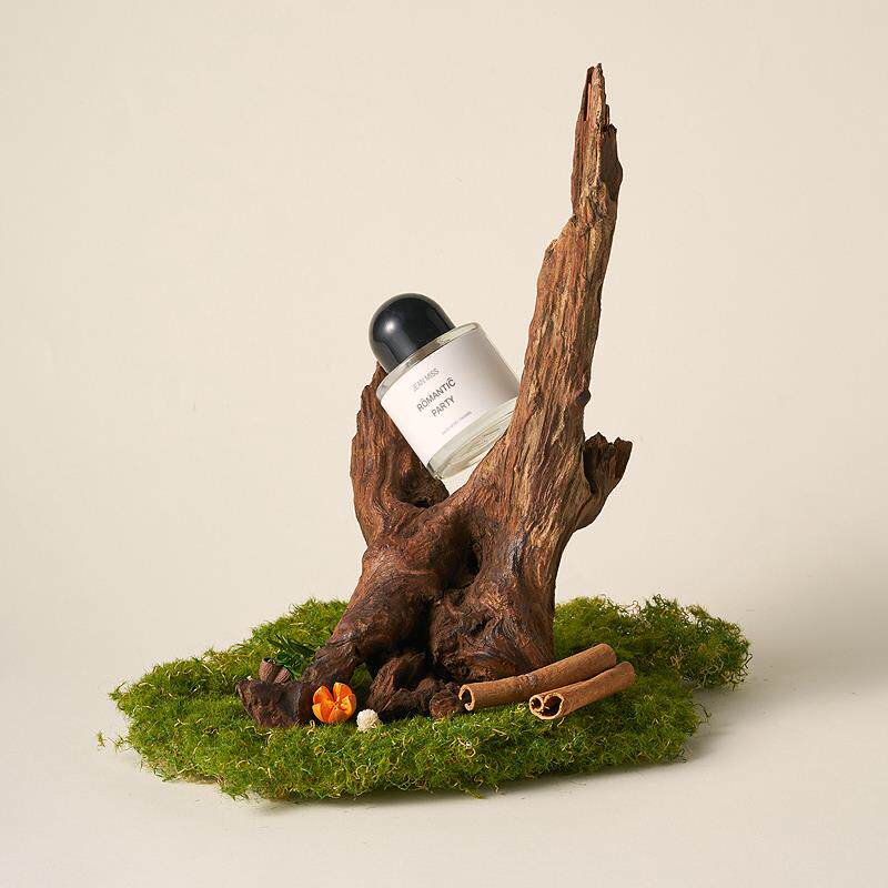 天然沉木造景 枯木拍照道具树枝木头装饰ins静物摄影陈列摆件干