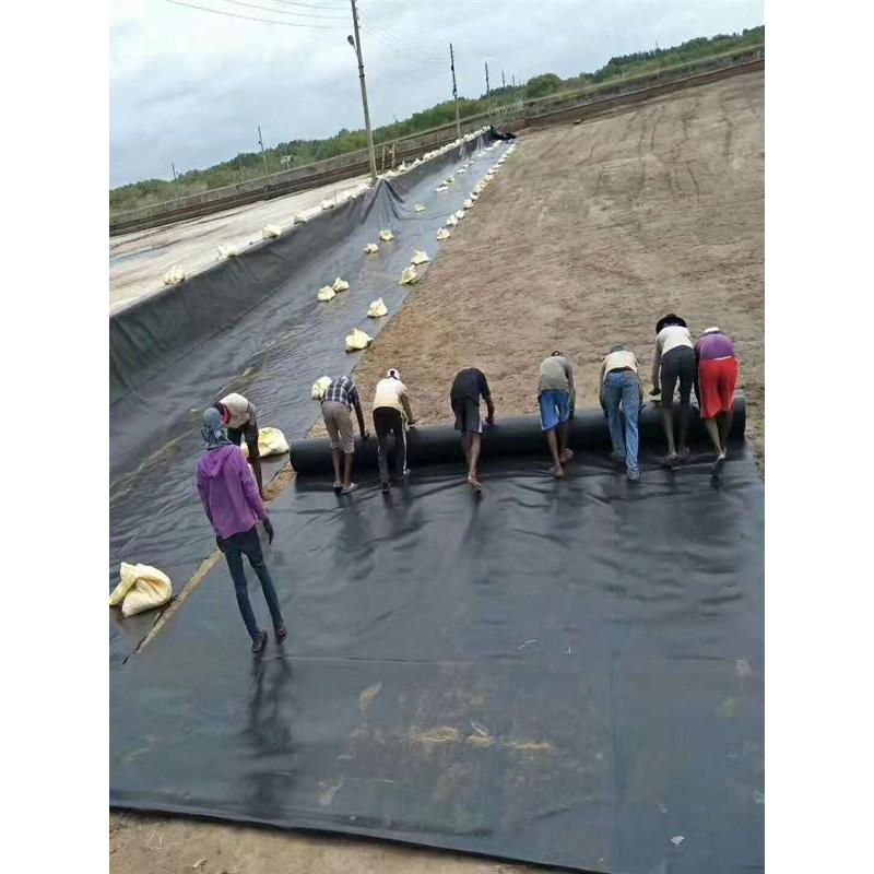 HDPE防渗土工膜车间防渗膜化粪池沼气池黑膜垃圾填埋场尾矿库防渗