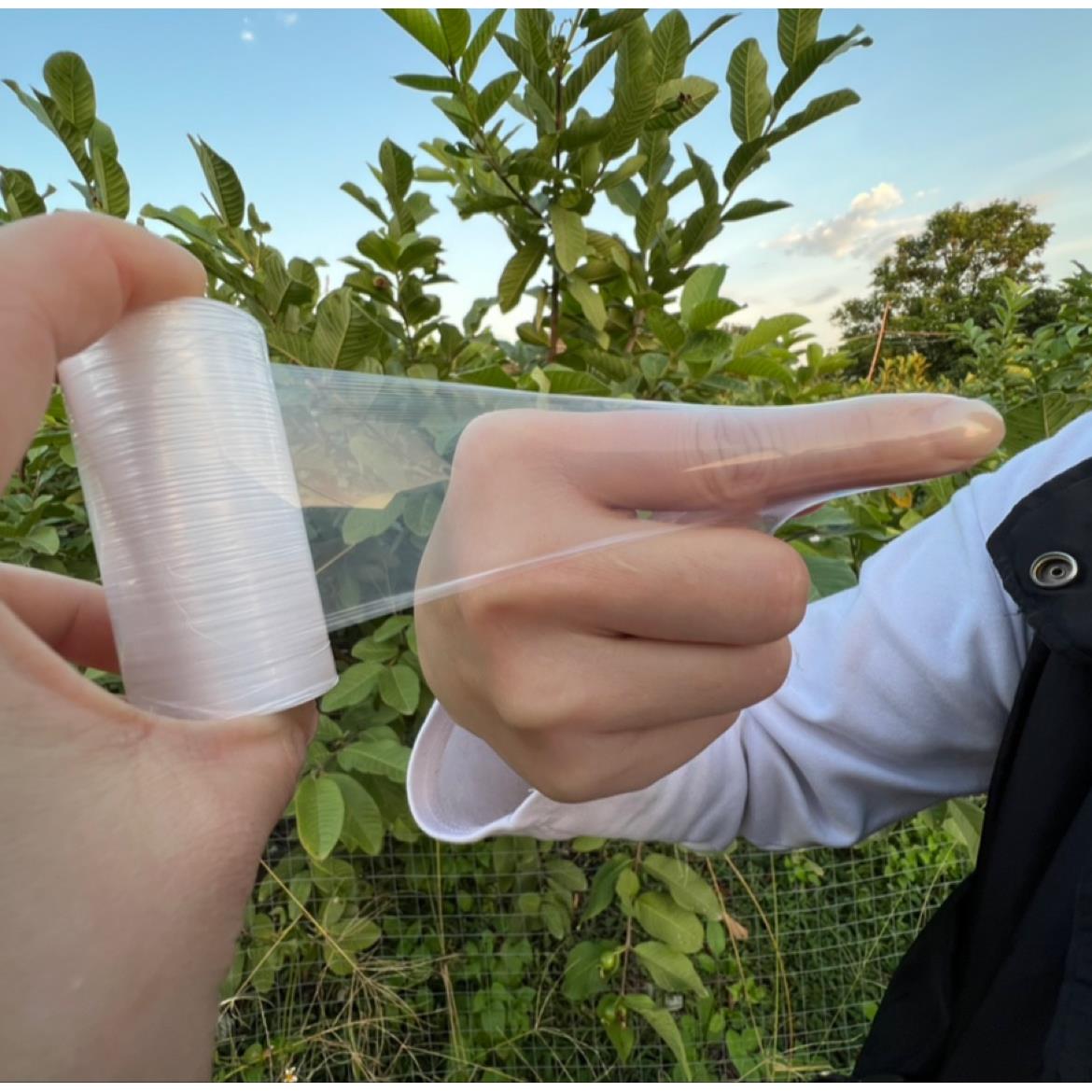 高成活薄膜非糯米纸免拆农用果树专用膜需打结薄膜绑带树苗嫁接膜