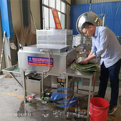 广东粽叶斑斓叶箬竹冬叶清洗机 双层毛辊上下去泥清洗设备 粽叶机