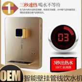 直饮制冷速热即热式 冷热一体壁挂饮水净水器管线