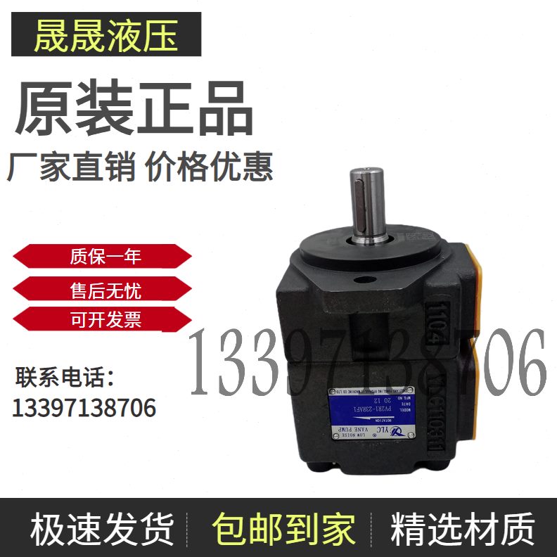 P- R-V2V223V2  V2P-7 1111RR叶片泵-V21永灵 -P28R1R1RPV225P19P