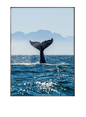 现蓝色大海滩鲸鱼帆船水海浪风景装饰画客厅卧室床头挂画