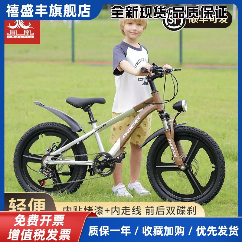 凤凰儿童自行车5-12岁小孩男女中大童20寸带后座变速山地脚踏单车