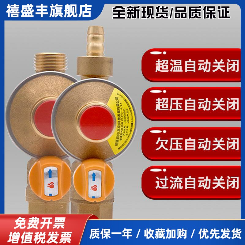 潜水艇燃气自闭阀天然气管道安全阀家用漏气防爆保护阀门自动断气