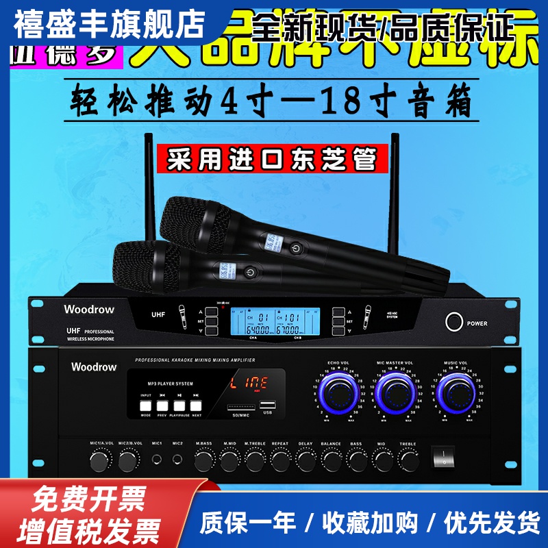 德国伍德罗家用专业大功率KTV蓝牙AV功放机家庭卡拉OK唱歌专用